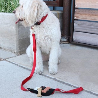 SPIbelt Handheld Dog Leash